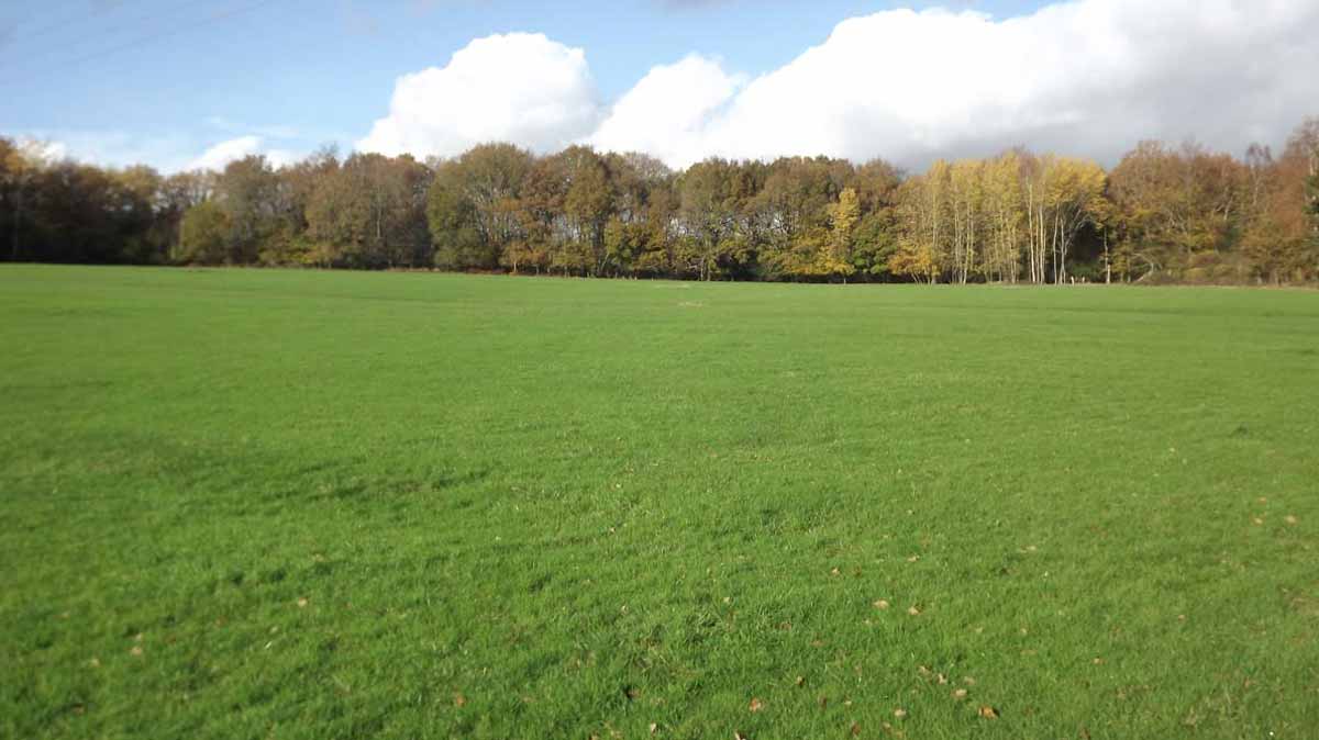 Rotherfield, 6.86 acres